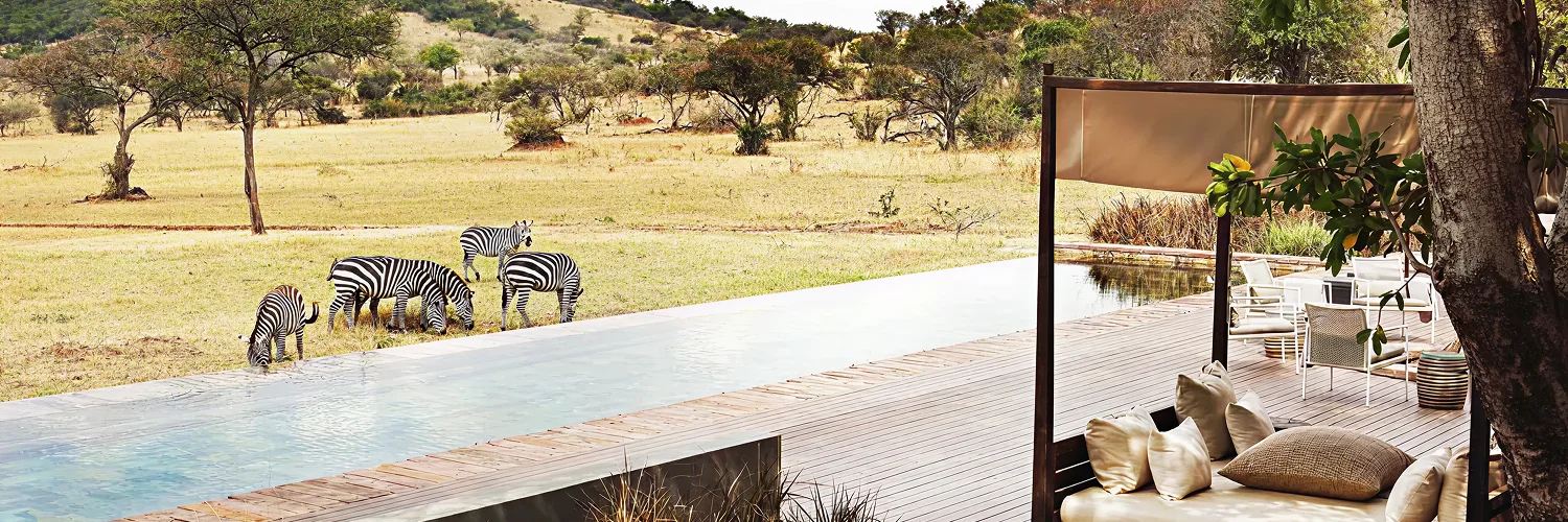 singita-serengeti-house-pool-with-zebra 1.webp